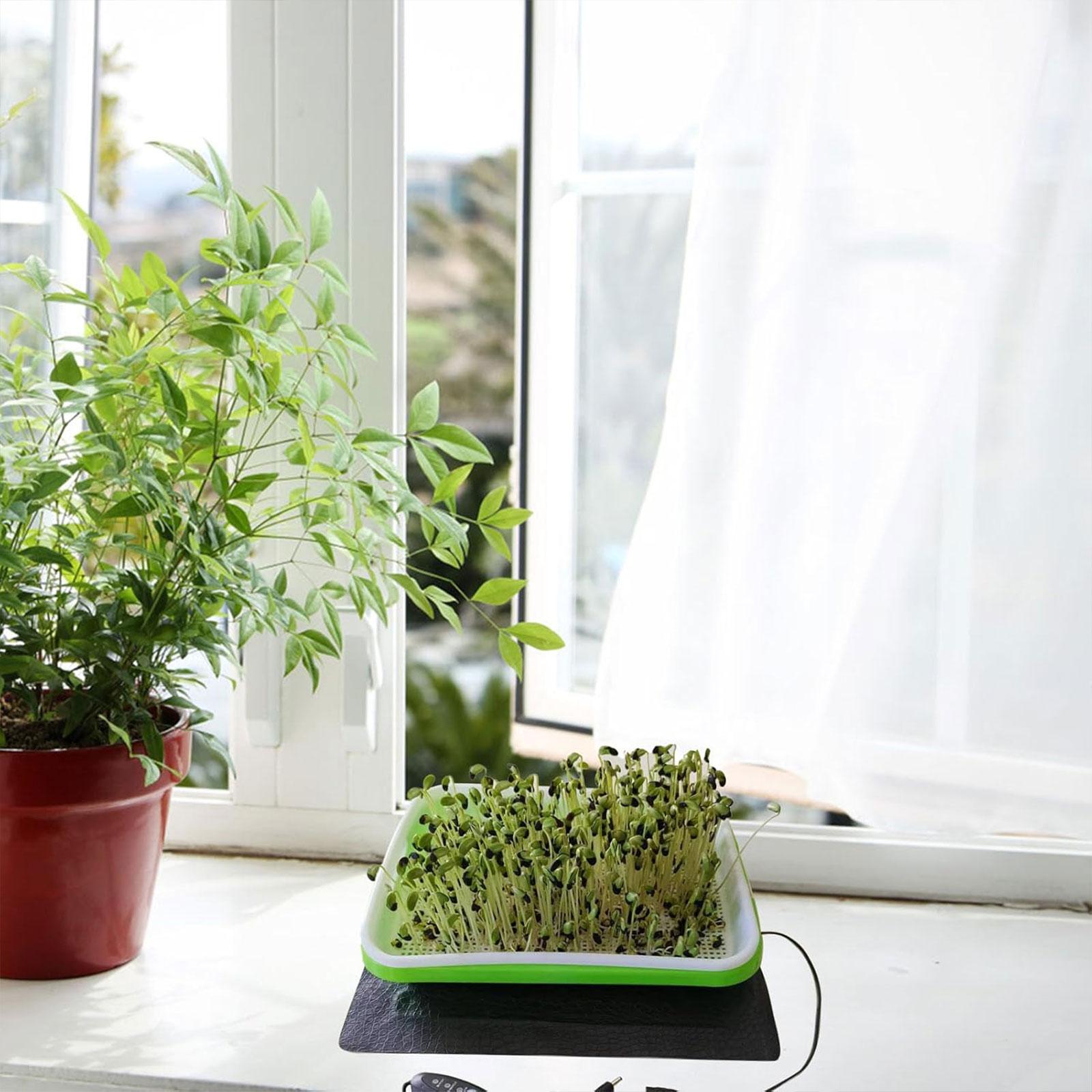 Heat Mat Seedling - Tappetino Riscaldante Idroponico per Propagazione di