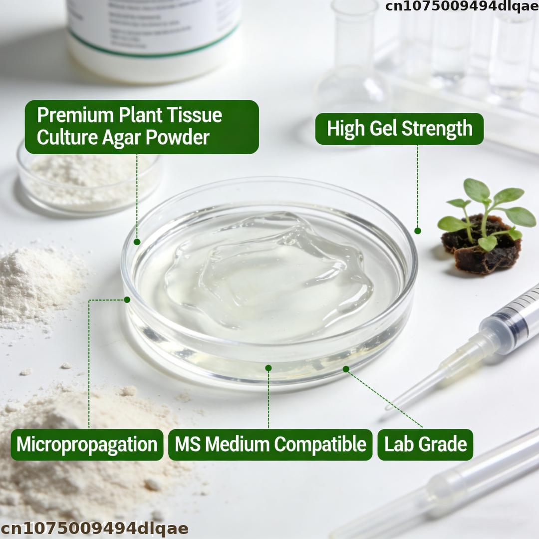 Polvere di Agar per Coltura di - Agar Tissue Culture recensione e prezzo