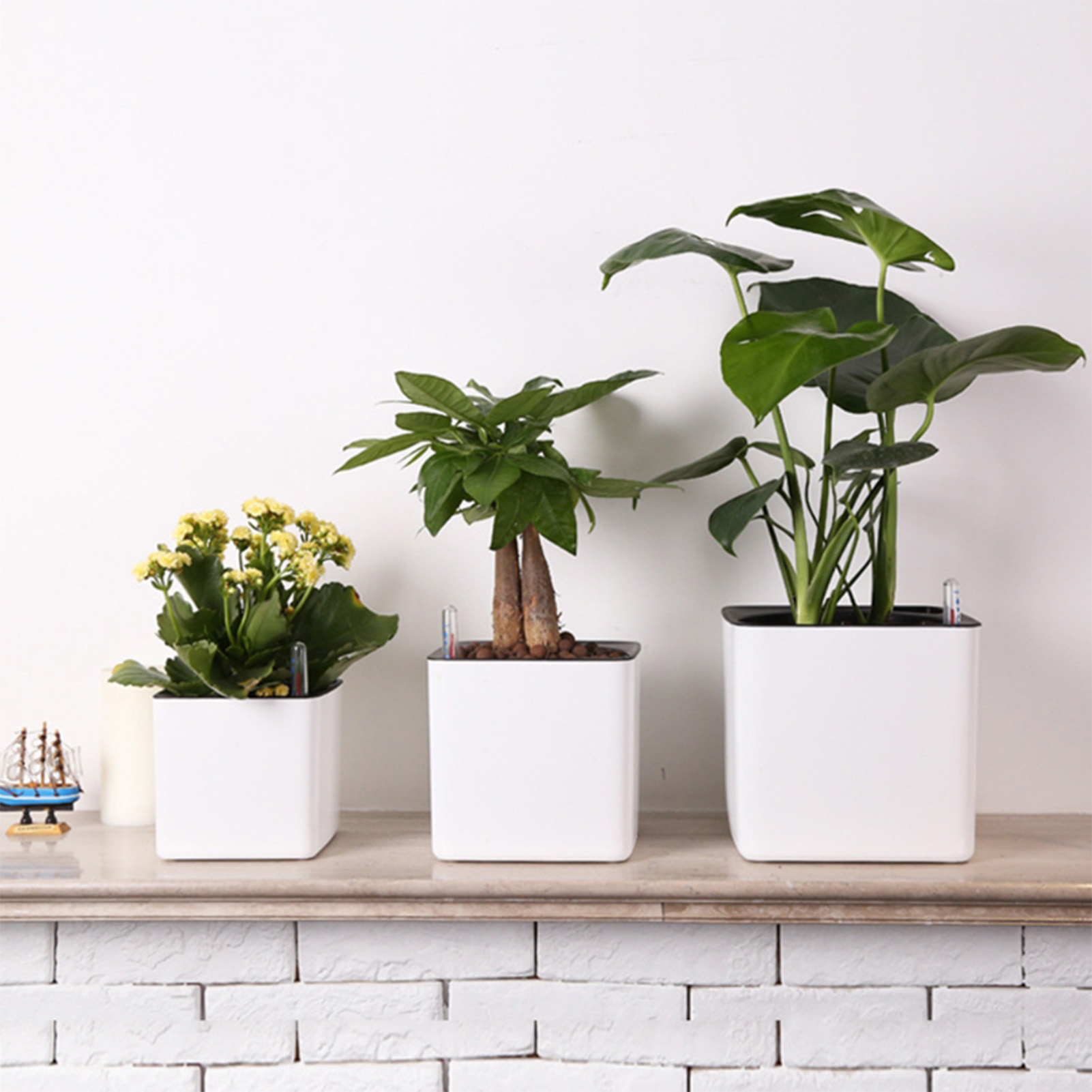 Vaso da fiori pigro di 3 dimen - Self Watering Insert recensione e prezzo