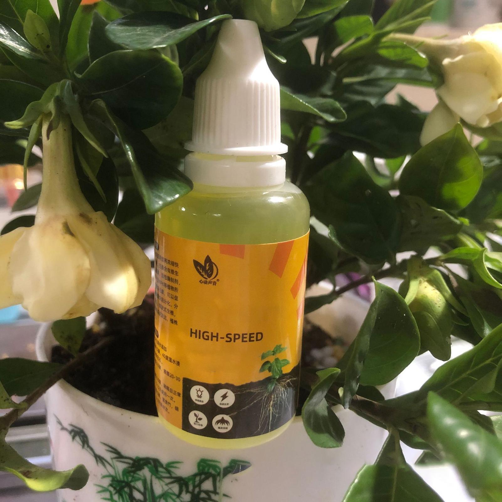 Stimolatore di Radicazione per - Root Stimulator Liquid recensione e prezzo