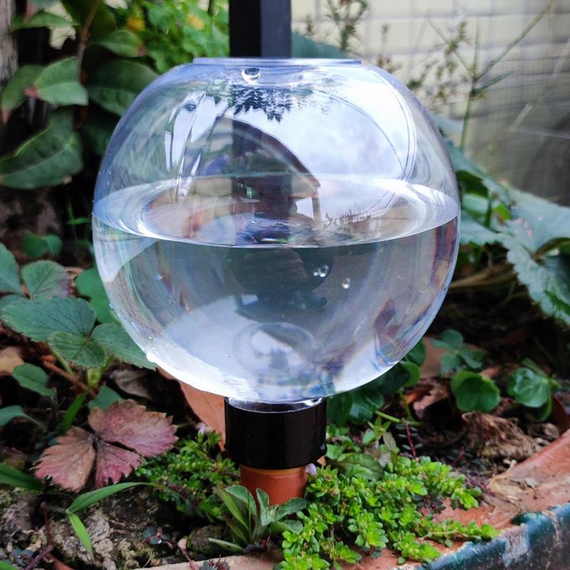 Lampadine per irrigazione dell - Self Watering Insert recensione e prezzo