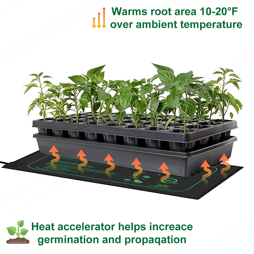 10/25/50 CENTIMETRI Piantina T - Rooting Gel Clone recensione e prezzo